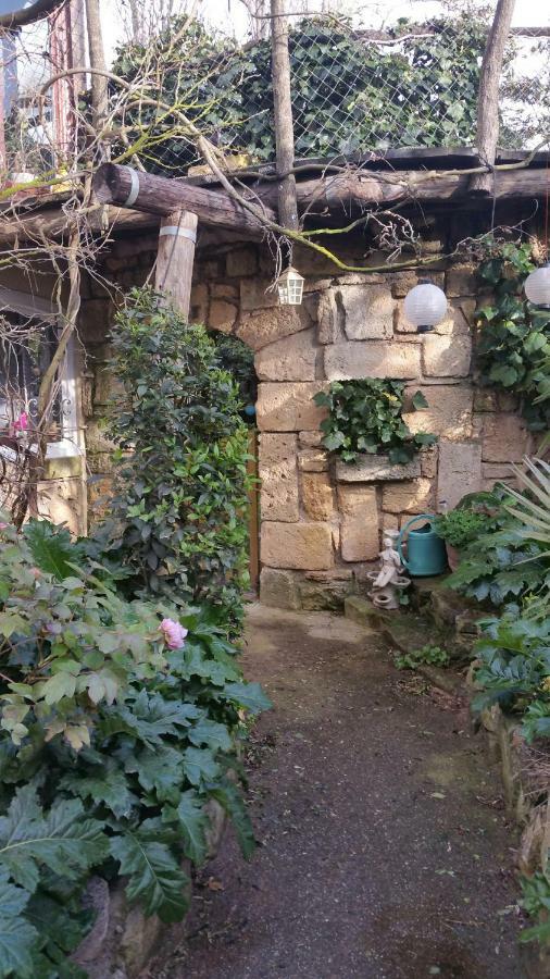 Apartment Jardin Et Bambous, Cosy, Classe 2 Etoiles Marseillan (Herault)