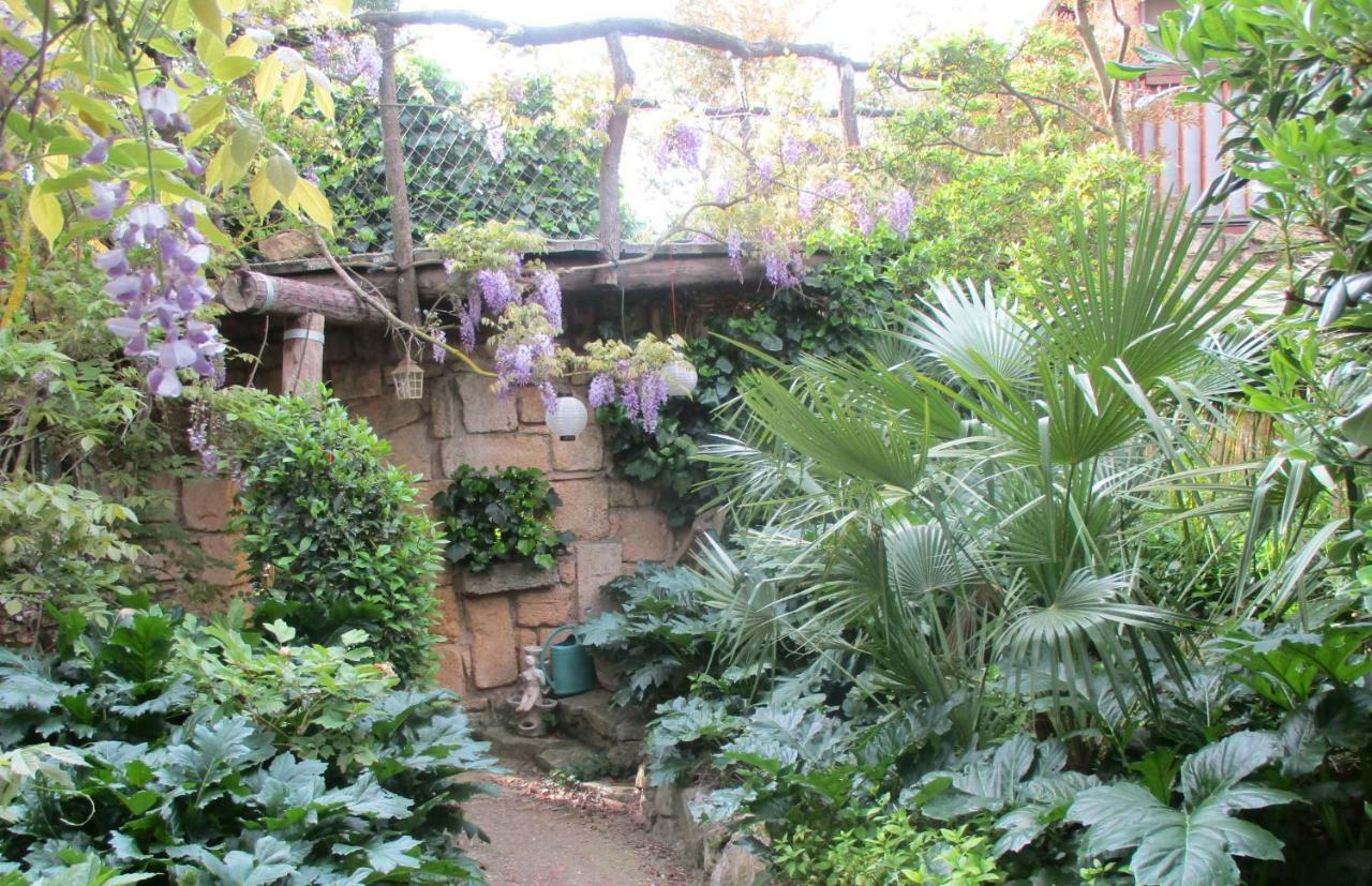 Jardin Et Bambous, Cosy, Classe 2 Etoiles * Marseillan (Herault)