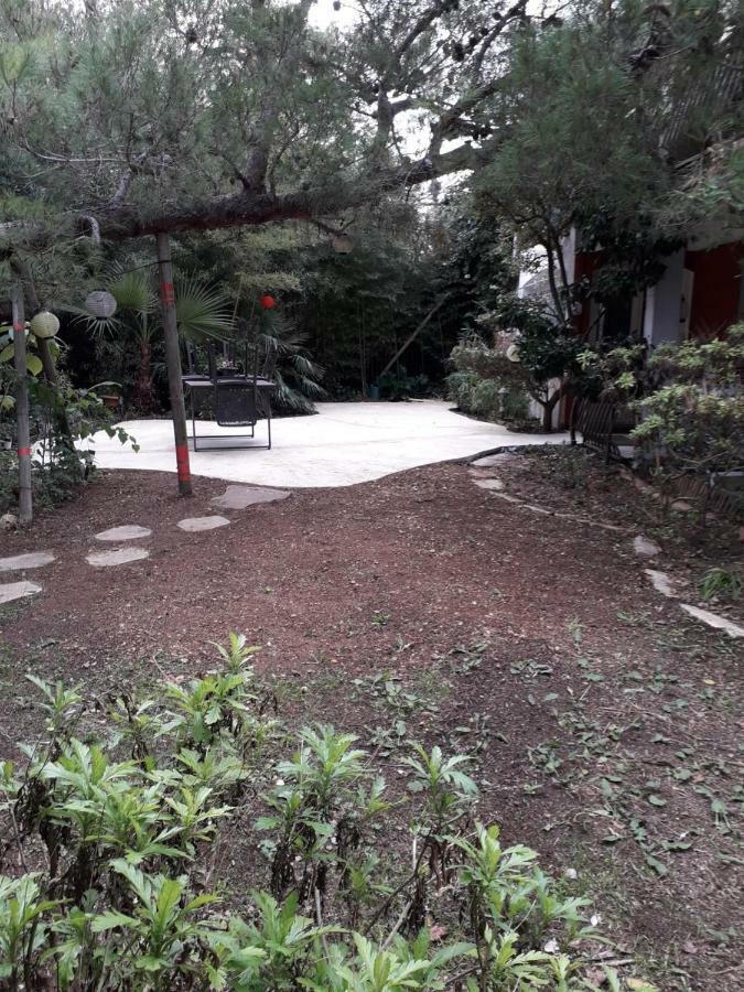 Jardin Et Bambous, Cosy, Classe 2 Etoiles * Marseillan (Herault)