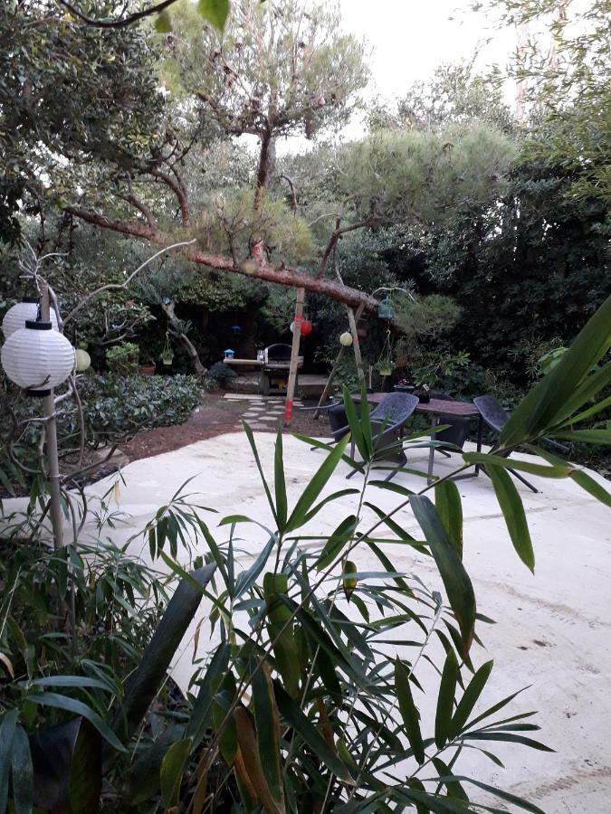 Apartment Jardin Et Bambous, Cosy, Classe 2 Etoiles Marseillan (Herault)