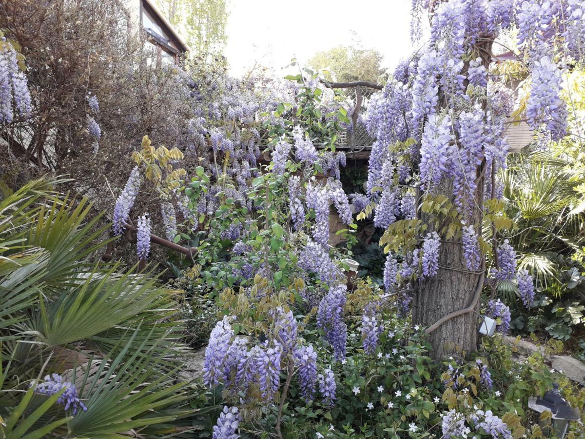 Jardin Et Bambous, Cosy, Classe 2 Etoiles Apartment *