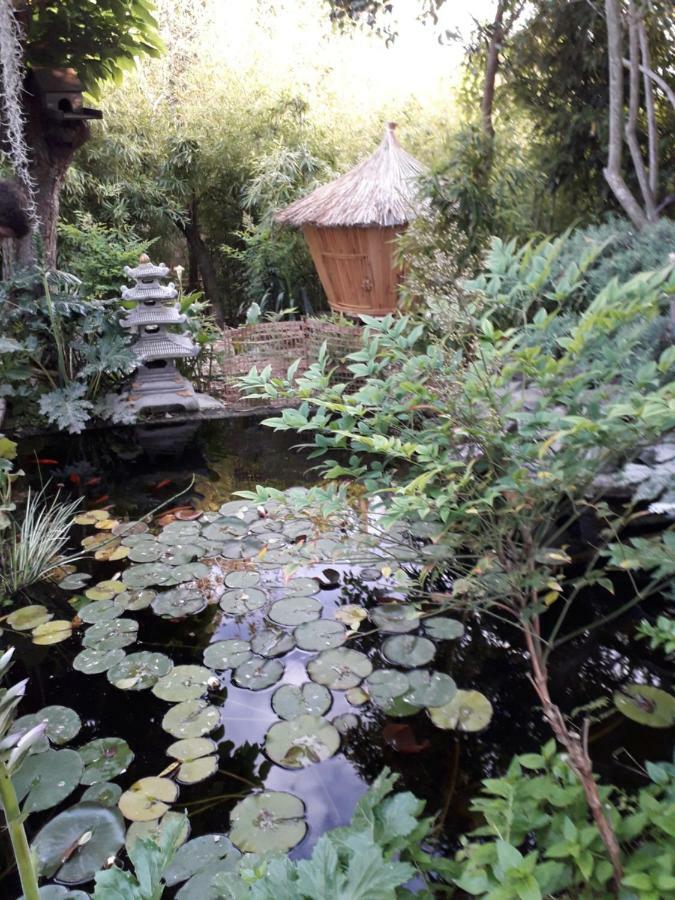 Jardin Et Bambous, Cosy, Classe 2 Etoiles *